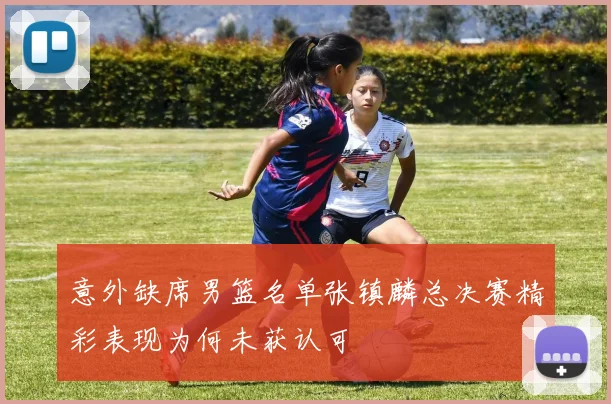 意外缺席男篮名单张镇麟总决赛精彩表现为何未获认可